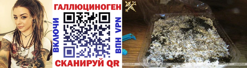 Галлюциногенные грибы мухоморы  hydra вход  Свирск  купить  
